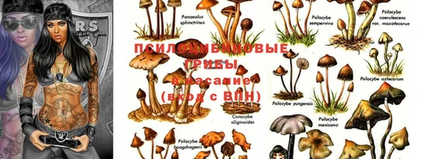 MDMA Арсеньев